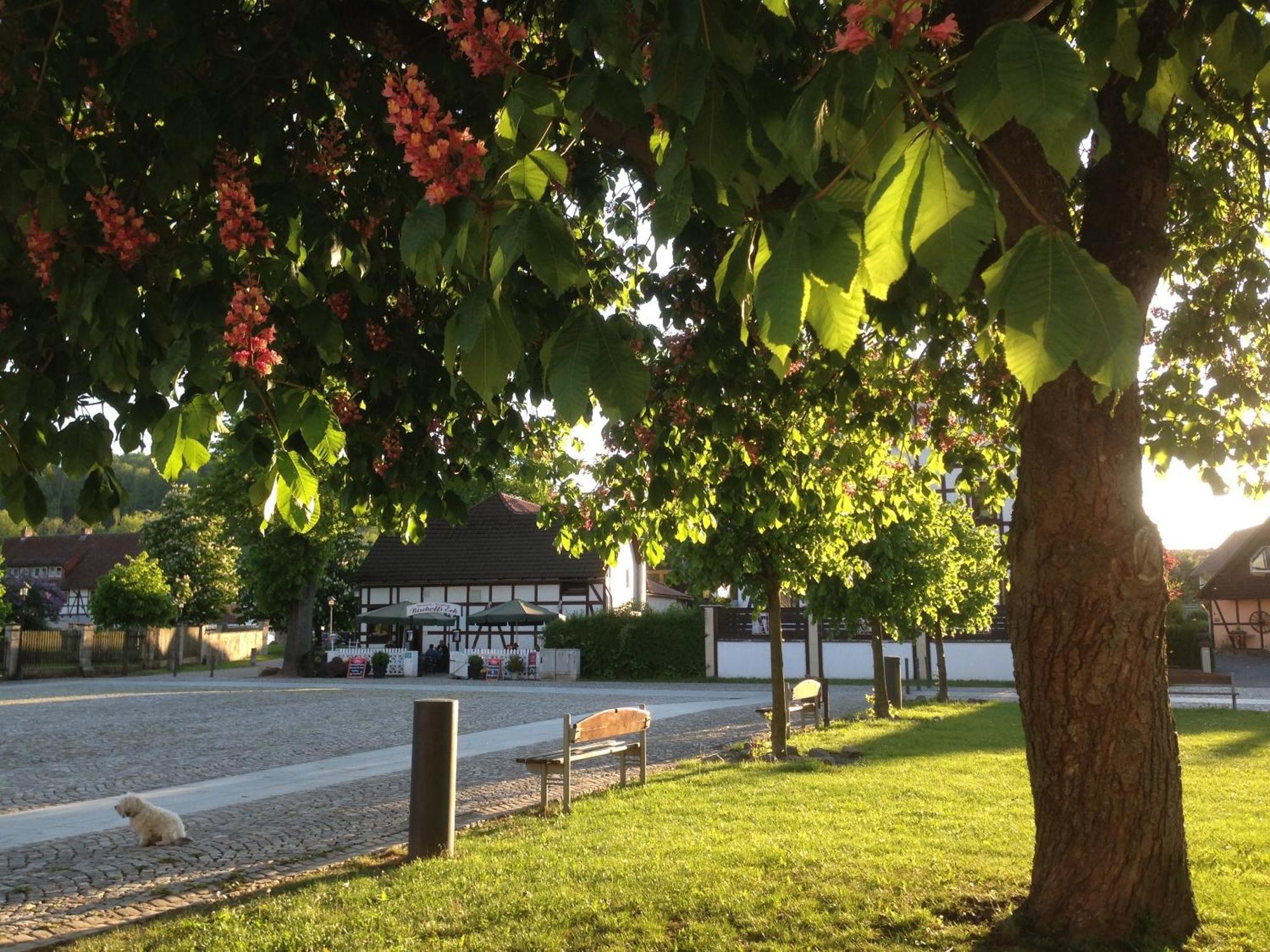 Klosterhotel Walkenried Exteriör bild