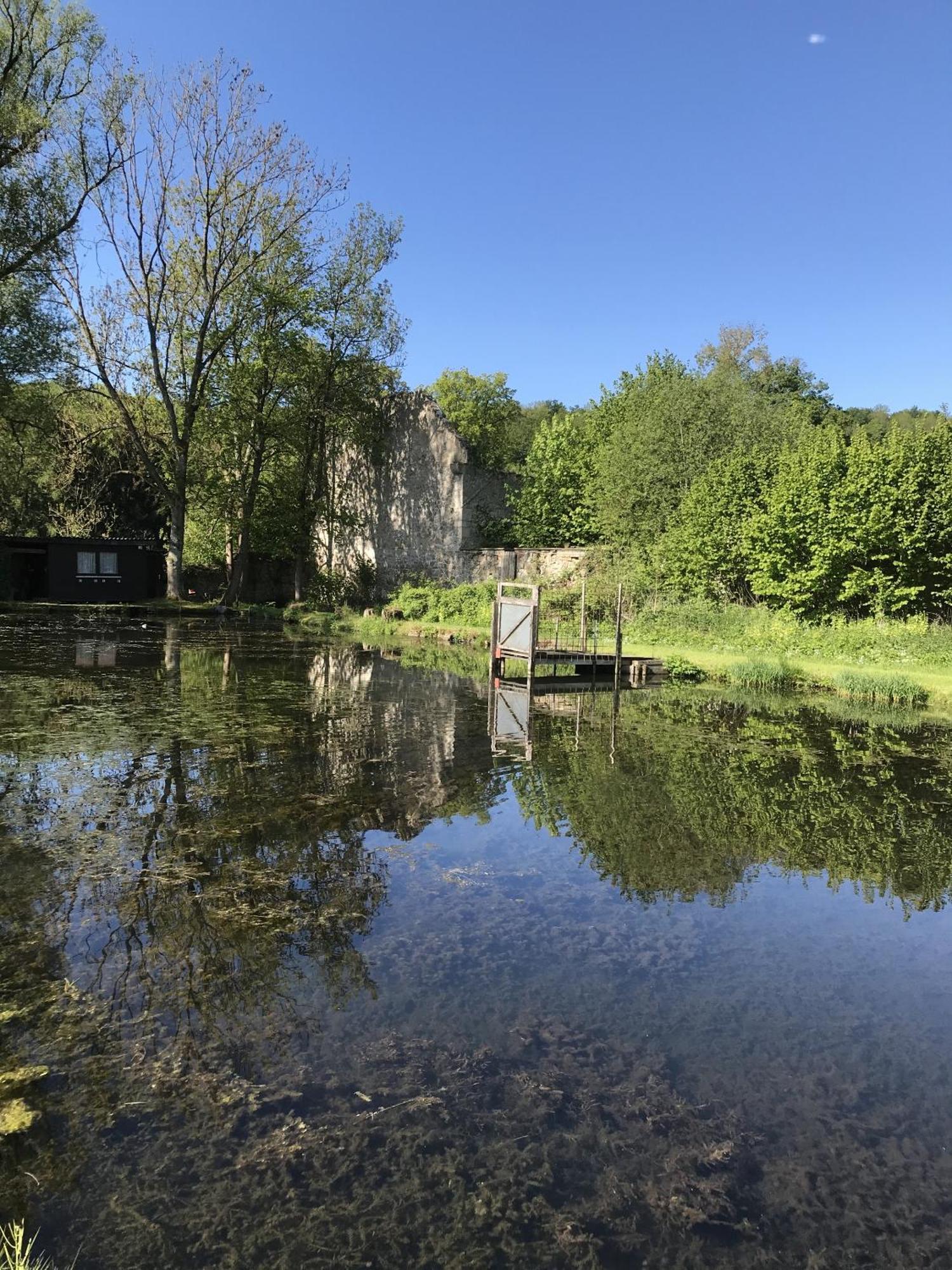 Klosterhotel Walkenried Exteriör bild